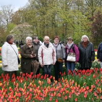 28.04.2016 - Seniorzy na wystawie kwiatów w Keukenhof_15