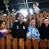 Toverland 2025_40