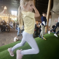 Toverland 2025_71
