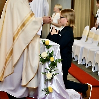 Biały tydzień2025_47